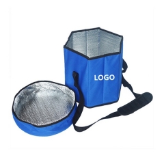 Insulated cooler bag