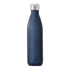 17 oz Stainless Steel Bottle