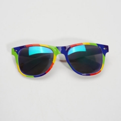 Rainbow Adult Sunglasses