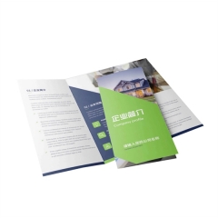 Customize Printing Flyers Leaflets Brochure Pamphlet