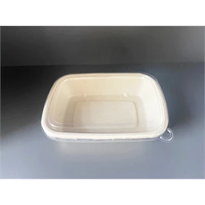 8''x6'' Bagasse Container