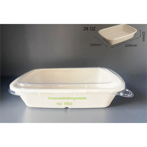 8''x6'' Bagasse Container