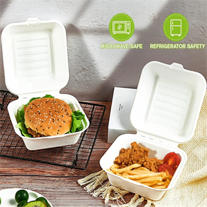 100% Compostable Biodegradable Take Out Container