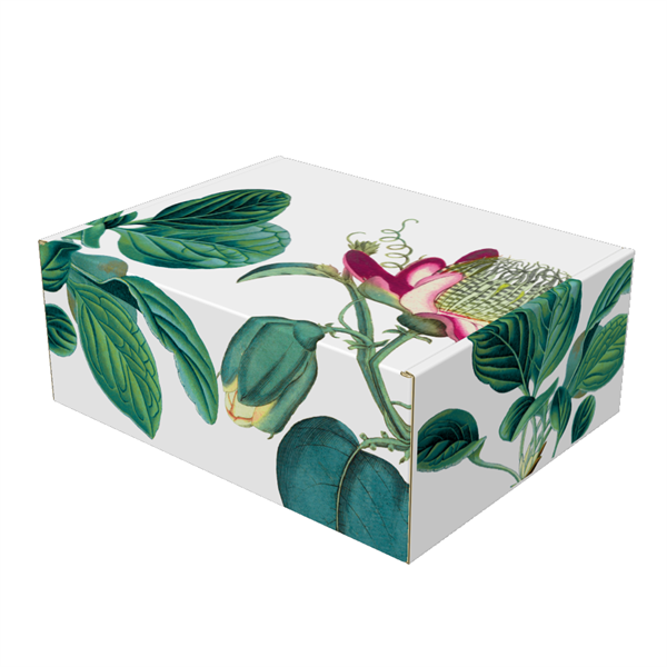 E-Flute Eco Display Mailer Box