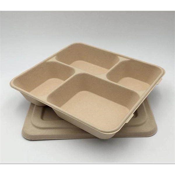 Eco friendly disposable bento box