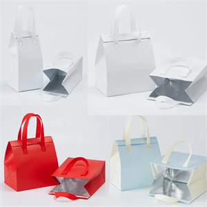 Aluminum Foil Insulated Takeaway Bag