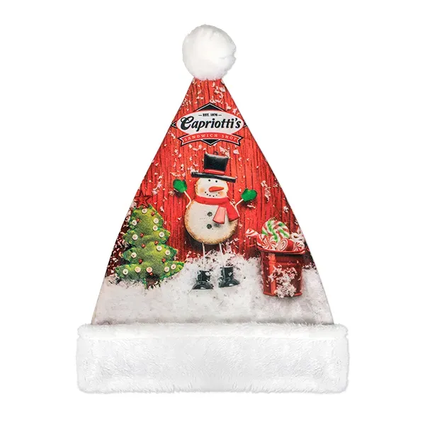 Full Color Santa Hat