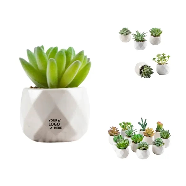 Artificial Succulent Plants for Desk Decor