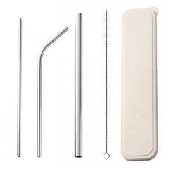 Reusable Straw Set With Case